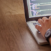 Software House: Fatores que Influenciam no Orçamento de um Software Sob Medida