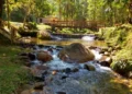 Confira trilhas e cachoeiras para visitar em Sorocaba e região