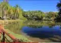 Os 6 melhores parques em Sorocaba