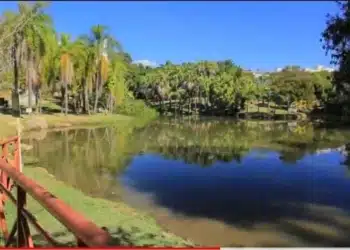 Os 6 melhores parques em Sorocaba