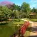 parque da agua vermelha